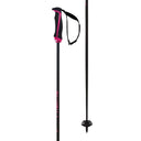 Bâton Völkl Phantastick Carbon