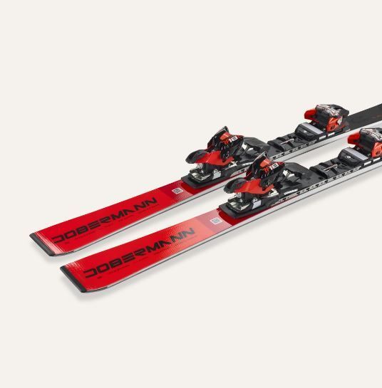 Ski Nordica Dobermann SLJ plate