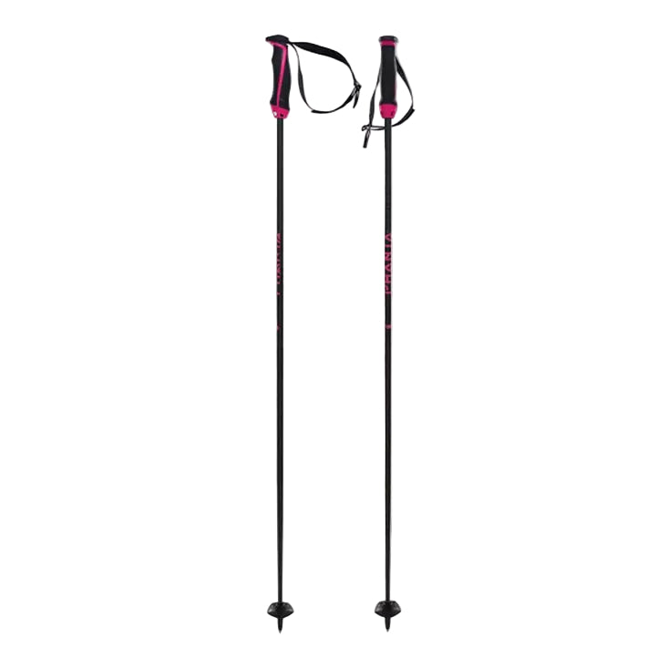 Bâton Völkl Phantastick Carbon