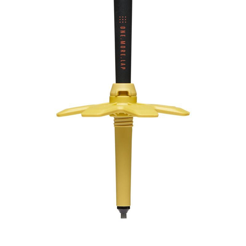 Bâton Black Diamond Traverse 3
