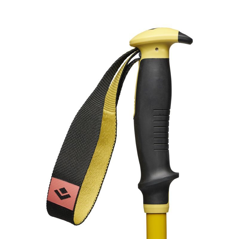 Bâton Black Diamond Traverse 3