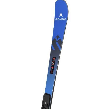 Ski Dynastar Speed Omeglas Master SL R22