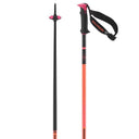 Bâton Salomon Polar Pro S3