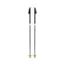 Bâton Black Diamond Expedition Carbon Pro