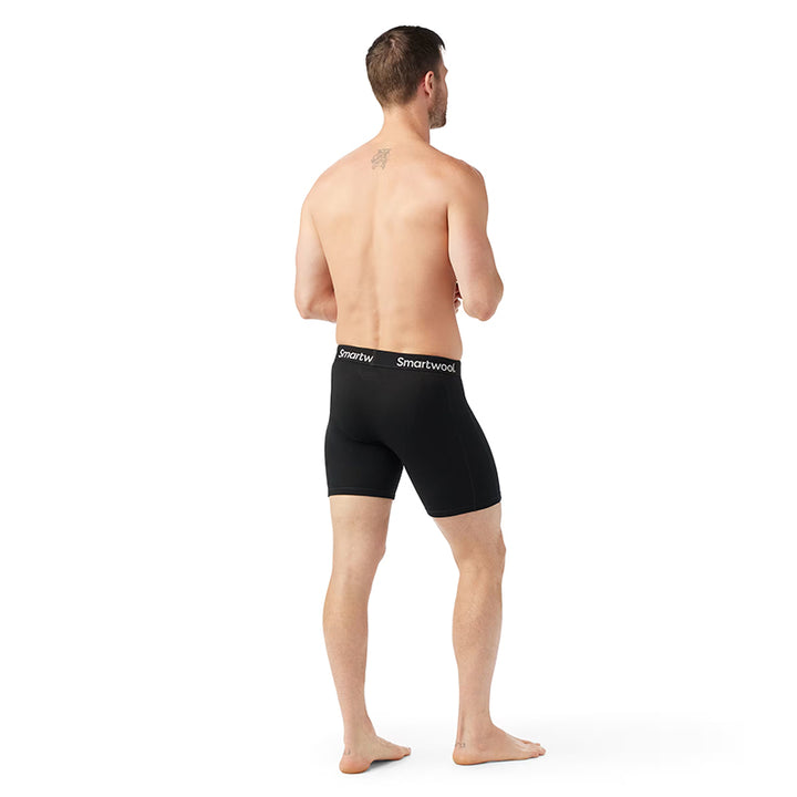 Boxer Smartwool Wind H