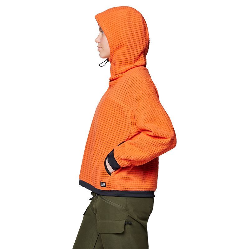 Chandail Mountain Hardwear Summit Grid Hoody F