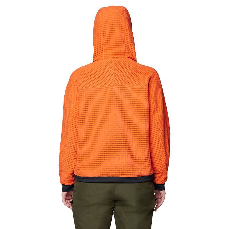 Chandail Mountain Hardwear Summit Grid Hoody F