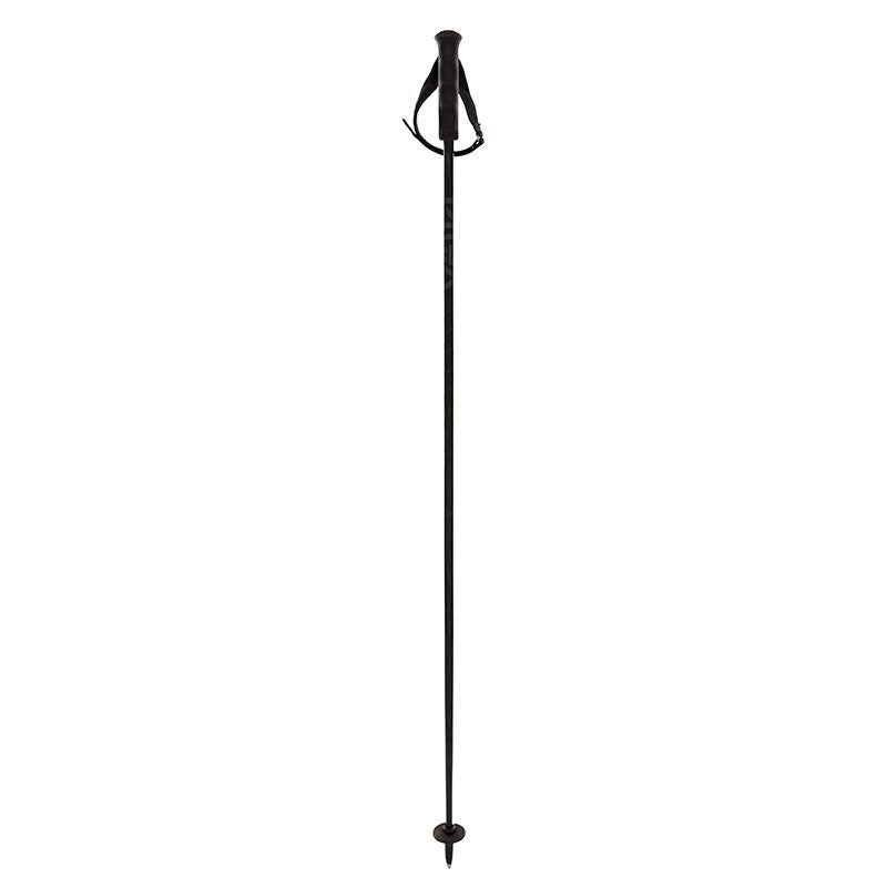 Bâton Völkl Speedstick Carbon