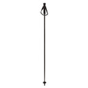 Bâton Völkl Speedstick Carbon