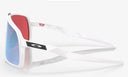 Lunette Oakley Sutro
