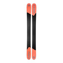 Ski Blizzard Canvas 118