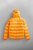 Manteau Picture Hi Puff down F